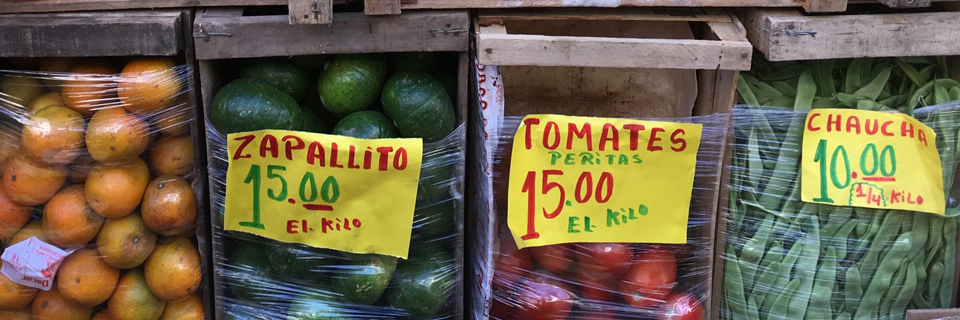 Spansk på Studieskolen